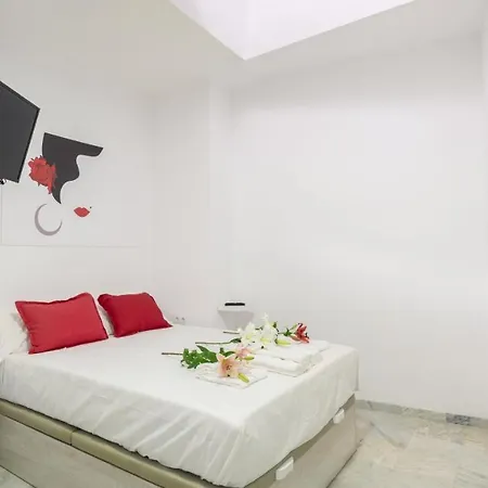 Habitación en casa particular & La Flamenka Sevilla